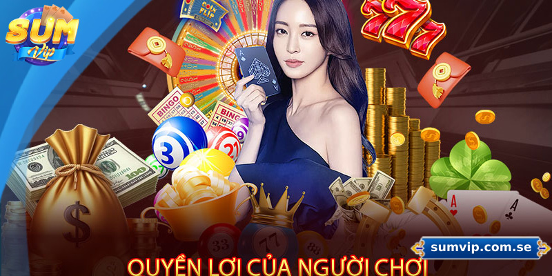 Miễn Trách Nhiệm Sumvip Có Ảnh Hưởng Gì Đến Người Chơi? 3 Quyền lợi của người chơi tại nhà cái Sumvip